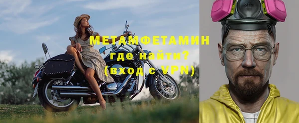 индика Белокуриха