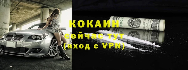 гашик Сосновый Бор