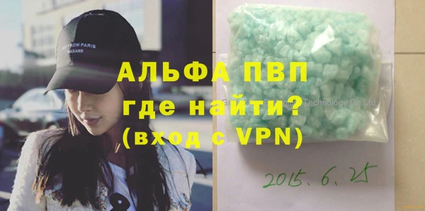 индика Белокуриха