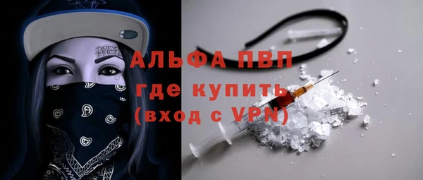 индика Белокуриха