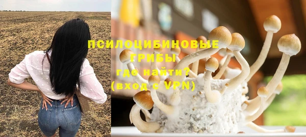 индика Белокуриха