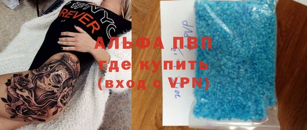 индика Белокуриха