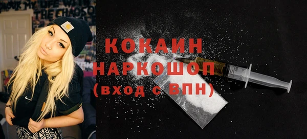 индика Белокуриха