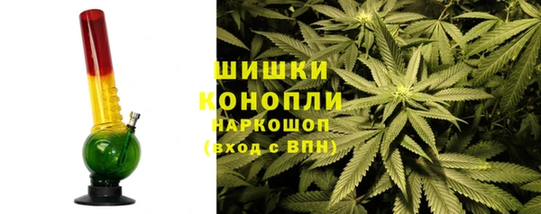 индика Белокуриха