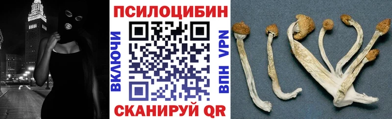 купить наркотики цена  Купино  Псилоцибиновые грибы ЛСД 